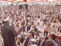 Shaykh-ul-Islam talking about his ‘son’ who was taken away from him