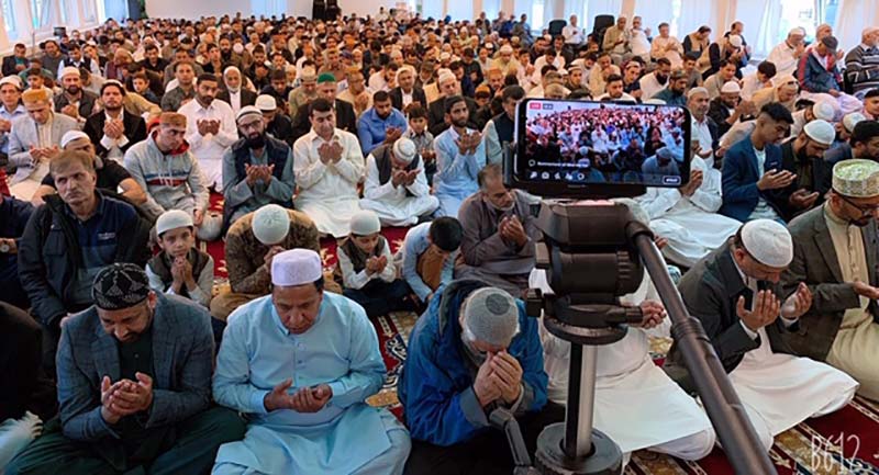 mqi denmark
