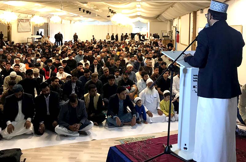 mqi denmark