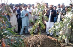 منہاج القرآن سپین کے جنرل سیکرٹری نوید احمد اندلسی کی والدہ پاکستان میں انتقال کر گئیں