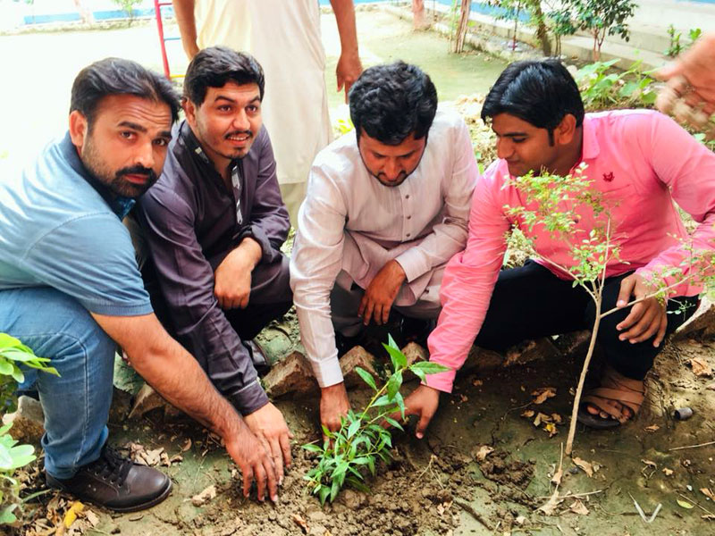 MSM launches tree plantation campaign