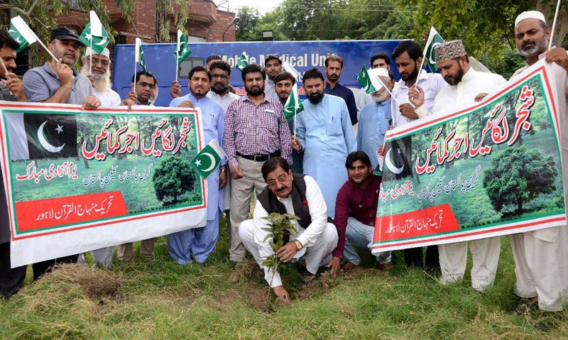 MQI formally launches tree plantation campaign 2020