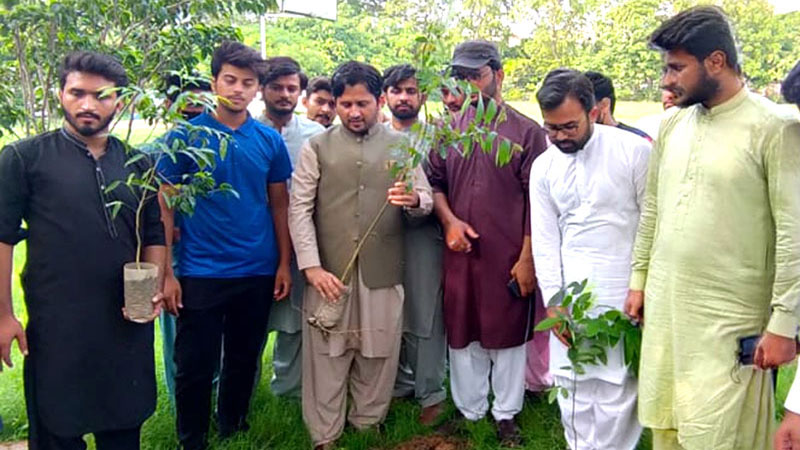 MSM launches tree plantation drive across the country